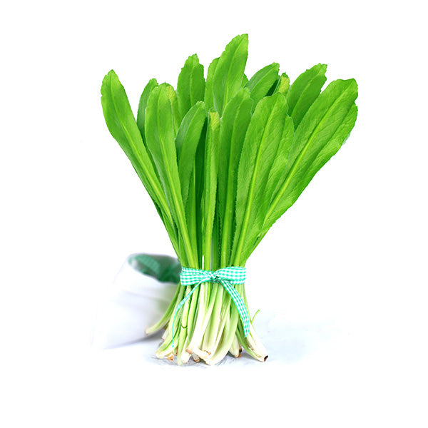NGÒ GAI – RAU GIA VỊ THƠM TỰ NHIÊN