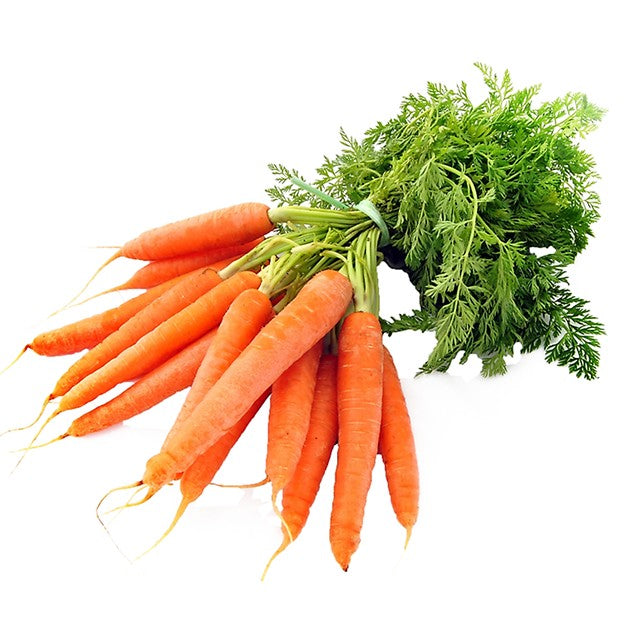 CÀ RỐT TƯƠI – GIÀU VITAMIN A