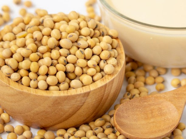 HẠT ĐẬU NÀNH – GIÀU PROTEIN