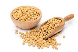 HẠT ĐẬU NÀNH – GIÀU PROTEIN