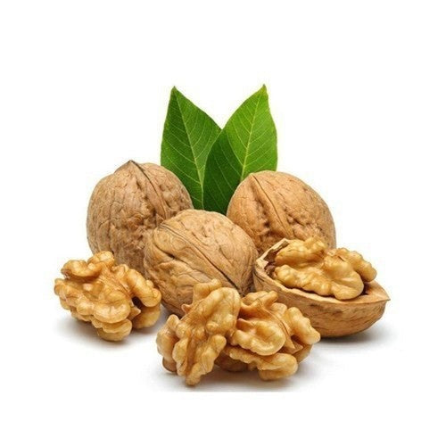 HẠT ÓC CHÓ – TỐT CHO NÃO BỘ