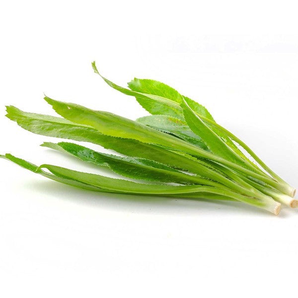 NGÒ GAI – RAU GIA VỊ THƠM TỰ NHIÊN